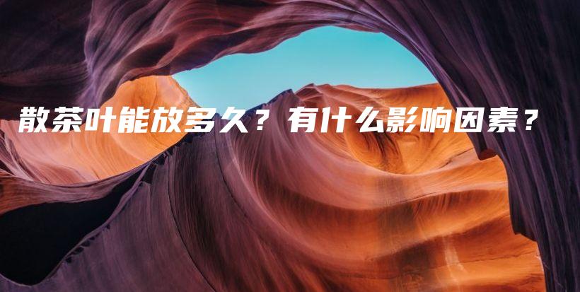 散茶葉能放多久？有什么影響因素？插圖
