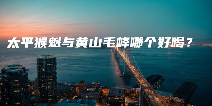 太平猴魁與黃山毛峰哪個好喝？插圖