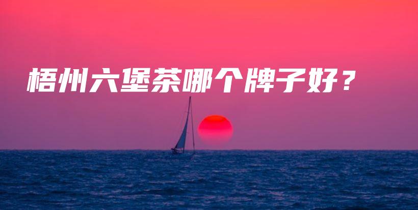 梧州六堡茶哪個牌子好？插圖