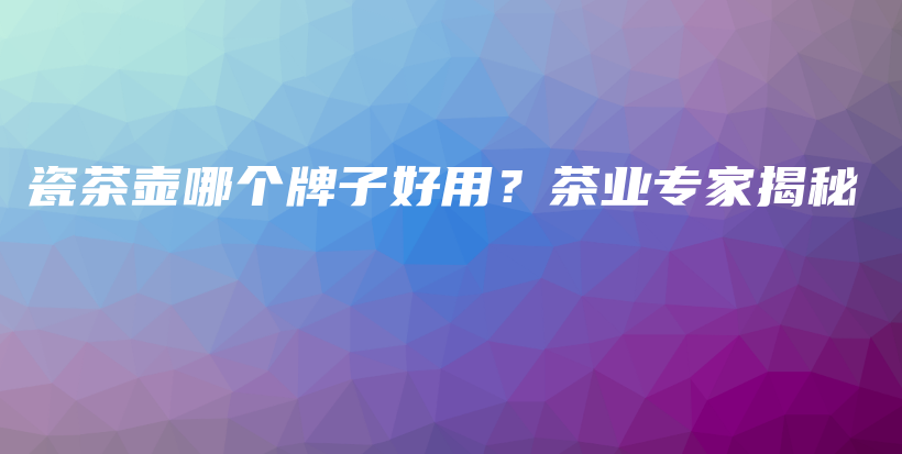 瓷茶壺哪個(gè)牌子好用？茶業(yè)專家揭秘插圖