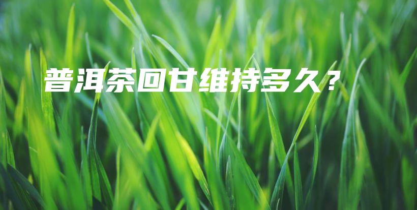 普洱茶回甘維持多久？插圖