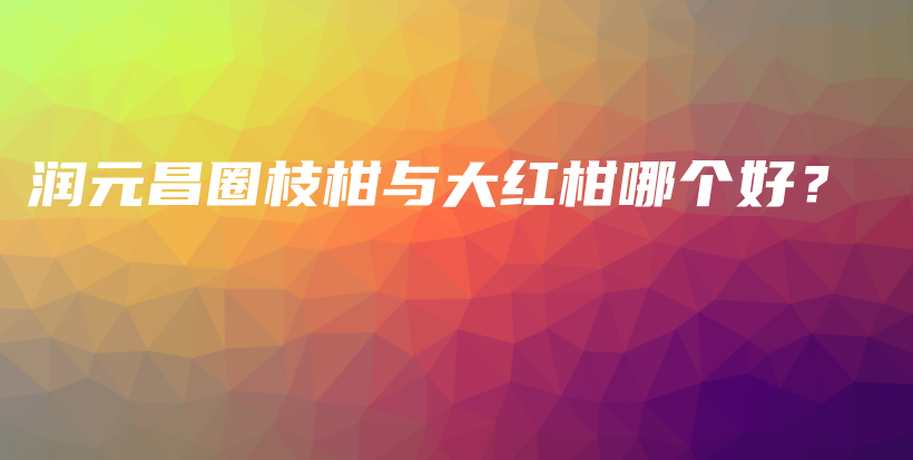 潤元昌圈枝柑與大紅柑哪個好？插圖