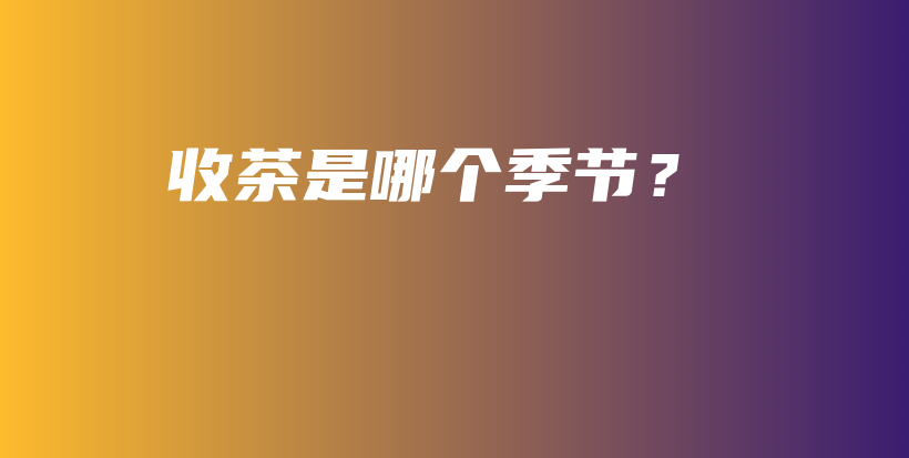 收茶是哪個(gè)季節(jié)？插圖