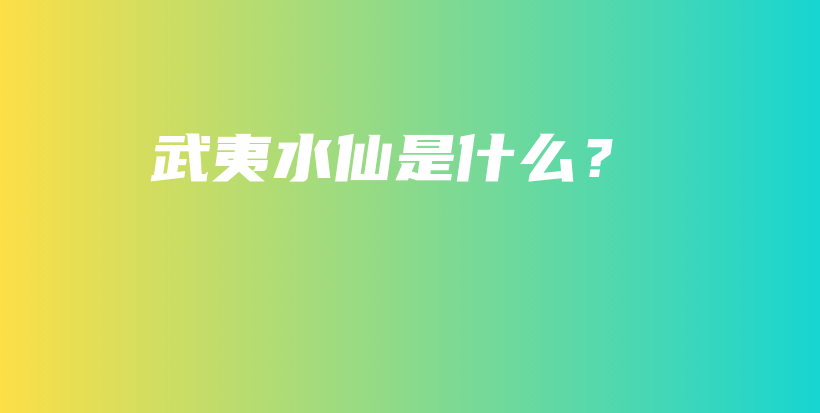 武夷水仙是什么？插圖