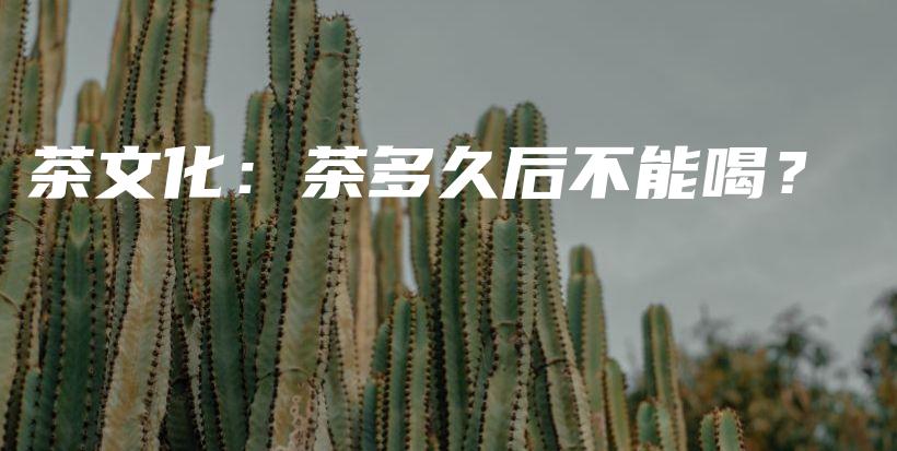 茶文化：茶多久后不能喝？插圖