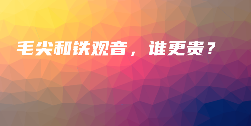 毛尖和鐵觀音，誰更貴？插圖