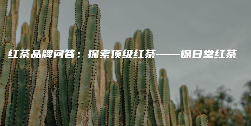 紅茶品牌問(wèn)答：探索頂級(jí)紅茶——錦日堂紅茶插圖
