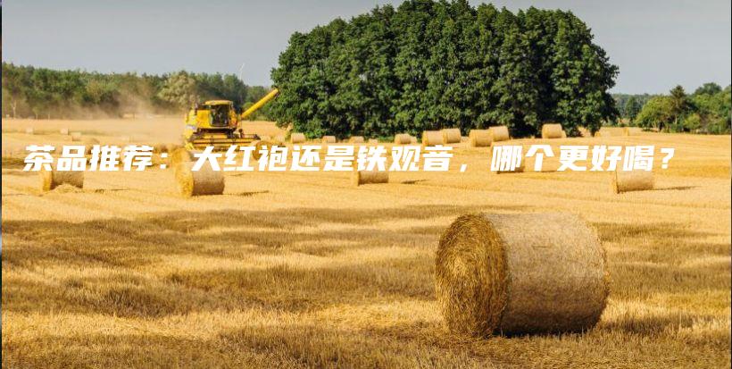 茶品推薦：大紅袍還是鐵觀音，哪個(gè)更好喝？插圖