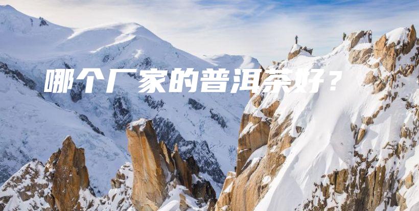 哪個(gè)廠家的普洱茶好？插圖