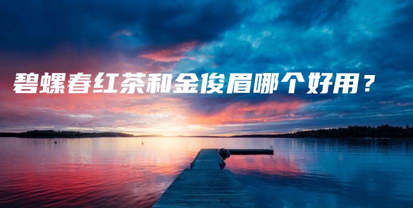 碧螺春紅茶和金俊眉哪個(gè)好用？插圖