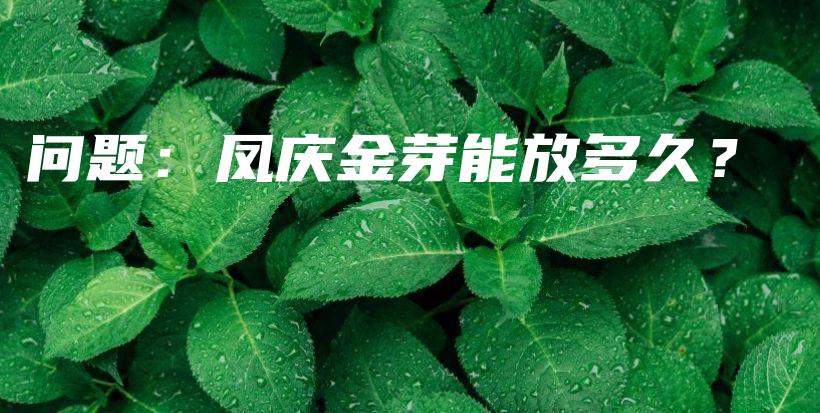 問(wèn)題：鳳慶金芽能放多久？插圖