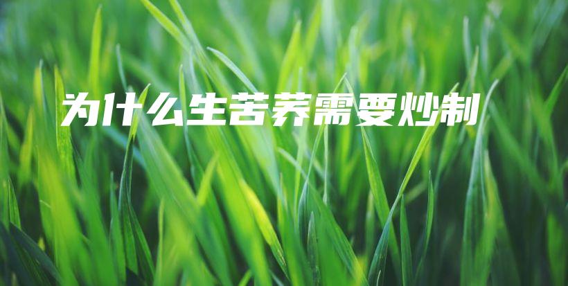 為什么生苦蕎需要炒制插圖