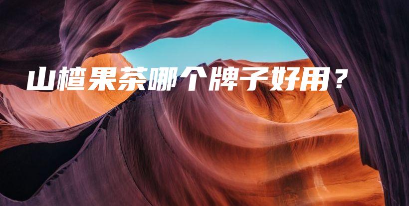 山楂果茶哪個牌子好用？插圖