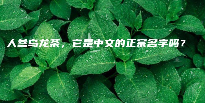 人參烏龍茶，它是中文的正宗名字嗎？插圖