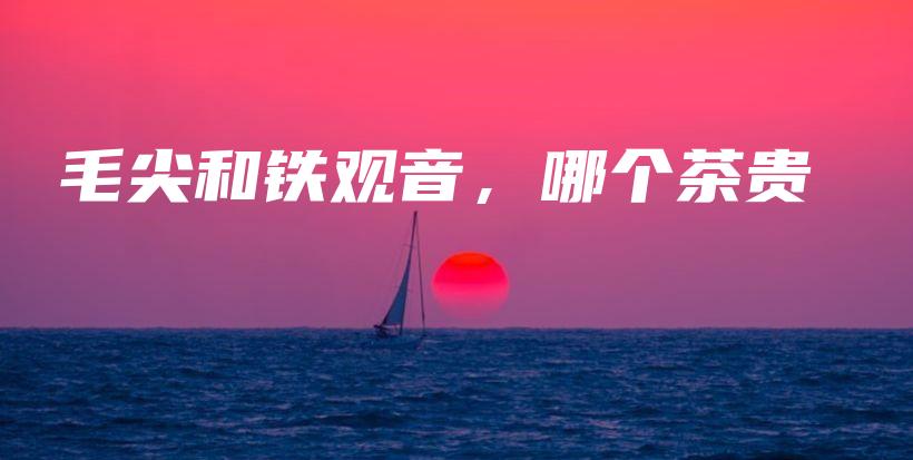 毛尖和鐵觀音，哪個茶貴插圖