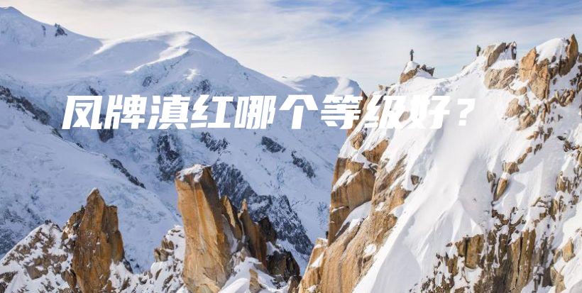 鳳牌滇紅哪個(gè)等級(jí)好？插圖
