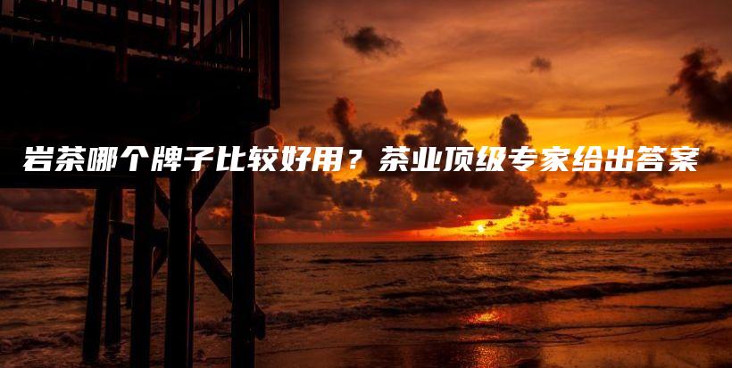 巖茶哪個牌子比較好用？茶業(yè)頂級專家給出答案插圖