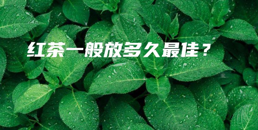 紅茶一般放多久最佳？插圖