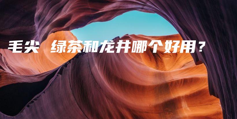毛尖 綠茶和龍井哪個(gè)好用？插圖
