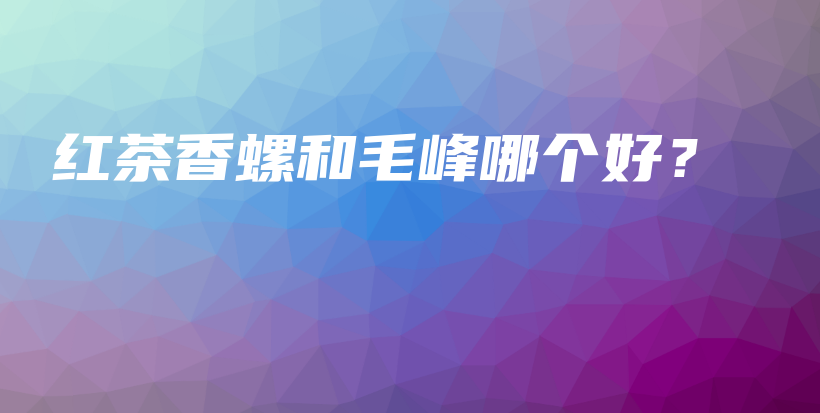 紅茶香螺和毛峰哪個(gè)好？插圖
