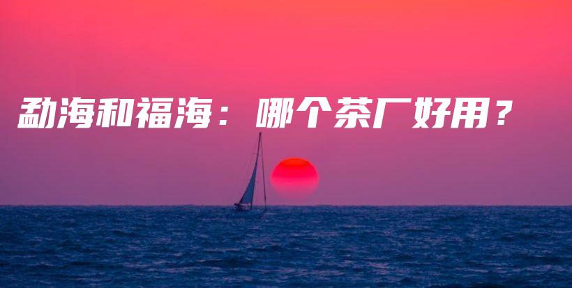 勐海和福海：哪個(gè)茶廠好用？插圖
