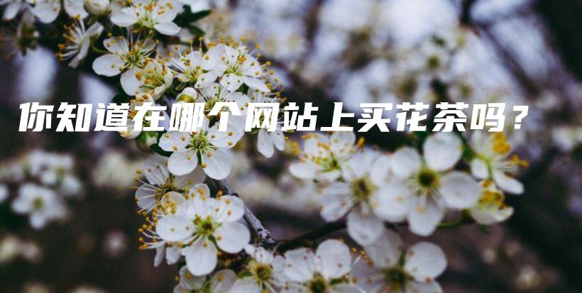 你知道在哪個網(wǎng)站上買花茶嗎？插圖