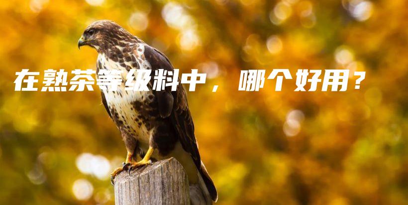 在熟茶等級(jí)料中，哪個(gè)好用？插圖