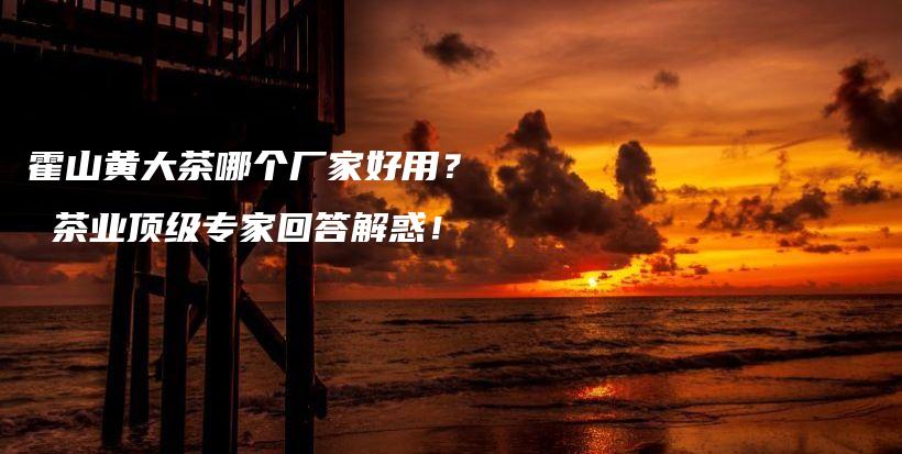 霍山黃大茶哪個(gè)廠家好用？ 茶業(yè)頂級(jí)專家回答解惑！插圖