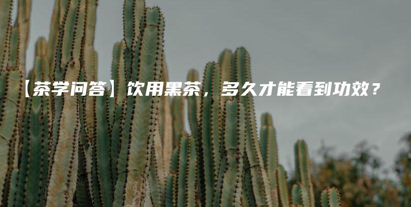 【茶學(xué)問答】飲用黑茶，多久才能看到功效？插圖