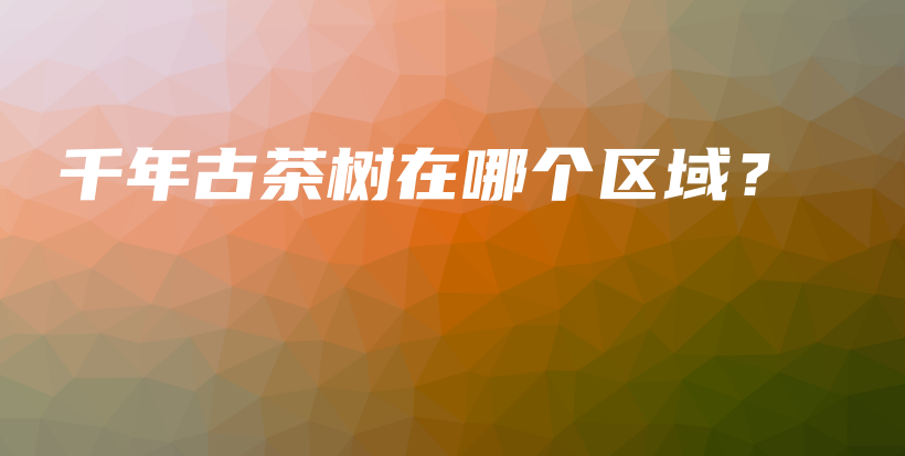 千年古茶樹(shù)在哪個(gè)區(qū)域？插圖