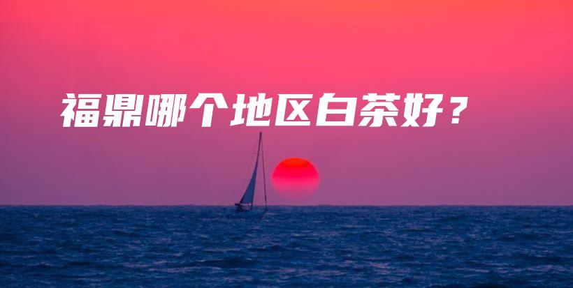福鼎哪個(gè)地區(qū)白茶好？插圖