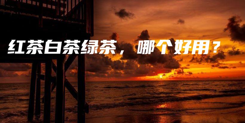 紅茶白茶綠茶，哪個(gè)好用？插圖