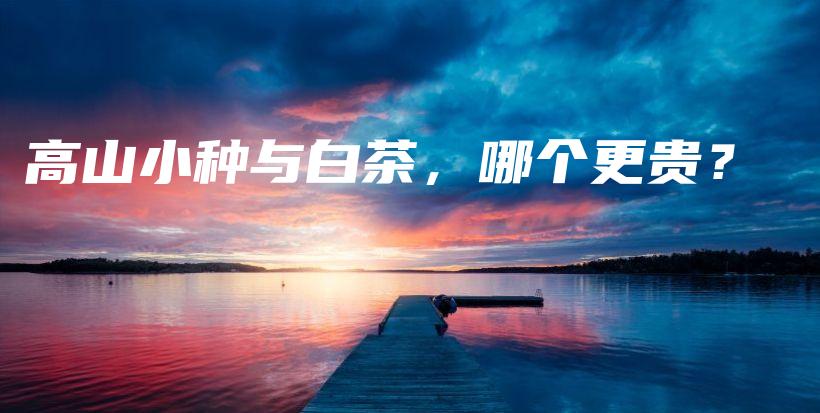 高山小種與白茶，哪個(gè)更貴？插圖