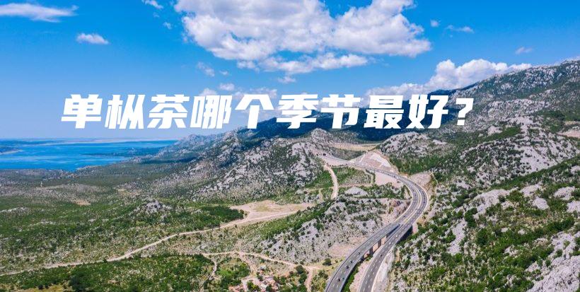 單樅茶哪個(gè)季節(jié)最好？插圖