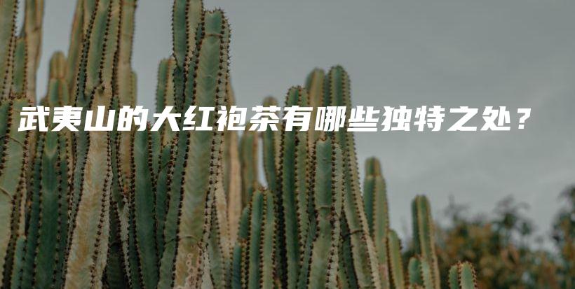 武夷山的大紅袍茶有哪些獨(dú)特之處？插圖