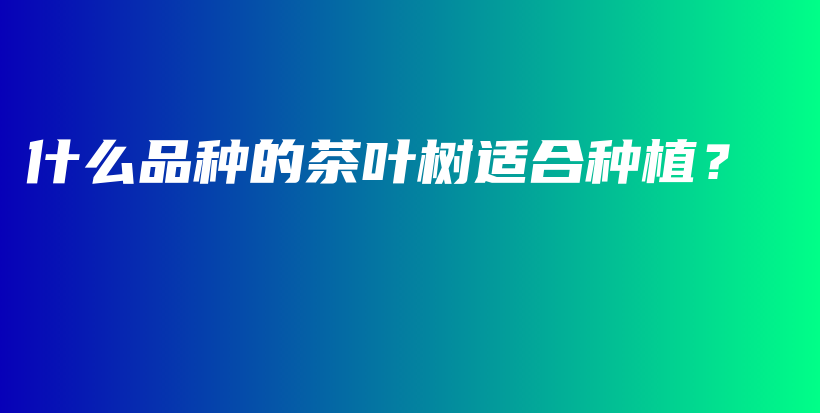 什么品種的茶葉樹適合種植？插圖