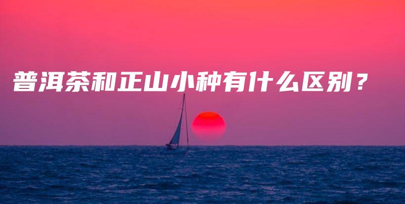 普洱茶和正山小種有什么區(qū)別？插圖