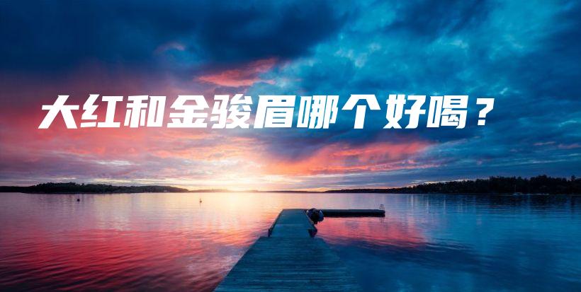 大紅和金駿眉哪個(gè)好喝？插圖