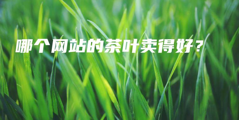 哪個(gè)網(wǎng)站的茶葉賣得好？插圖