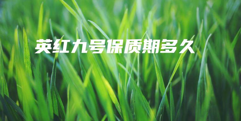 英紅九號保質期多久插圖