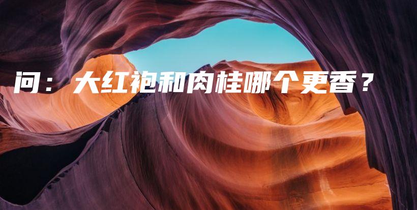 問：大紅袍和肉桂哪個更香？插圖