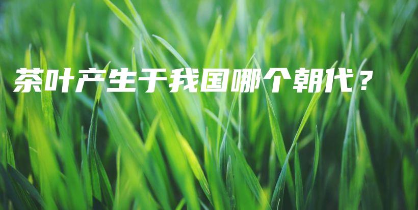 茶葉產(chǎn)生于我國哪個(gè)朝代？插圖