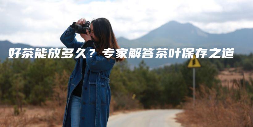 好茶能放多久？專家解答茶葉保存之道插圖