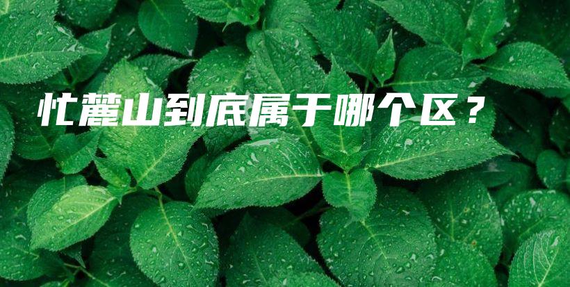 忙麓山到底屬于哪個區(qū)？插圖
