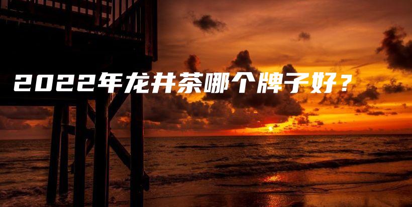 2022年龍井茶哪個牌子好？插圖