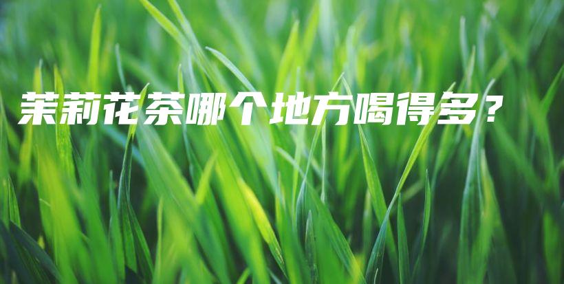 茉莉花茶哪個地方喝得多？插圖