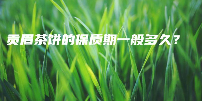 貢眉茶餅的保質(zhì)期一般多久？插圖