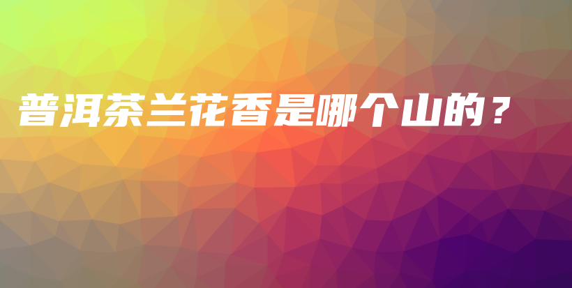 普洱茶蘭花香是哪個山的？插圖