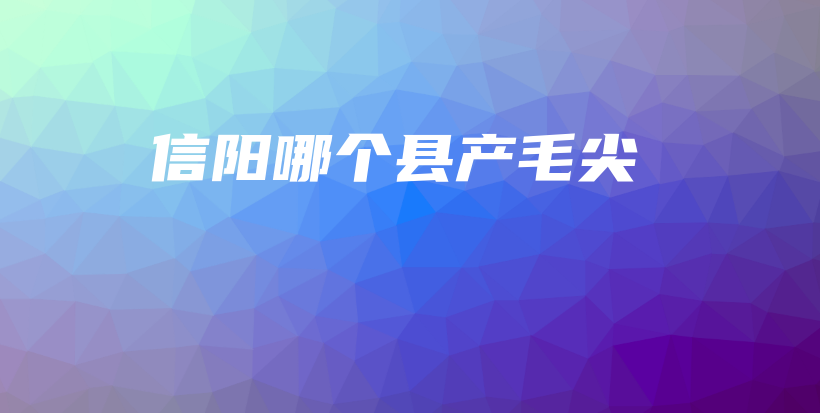 信陽哪個(gè)縣產(chǎn)毛尖插圖