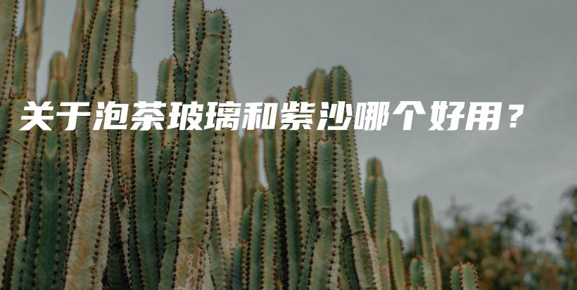 關(guān)于泡茶玻璃和紫沙哪個好用？插圖